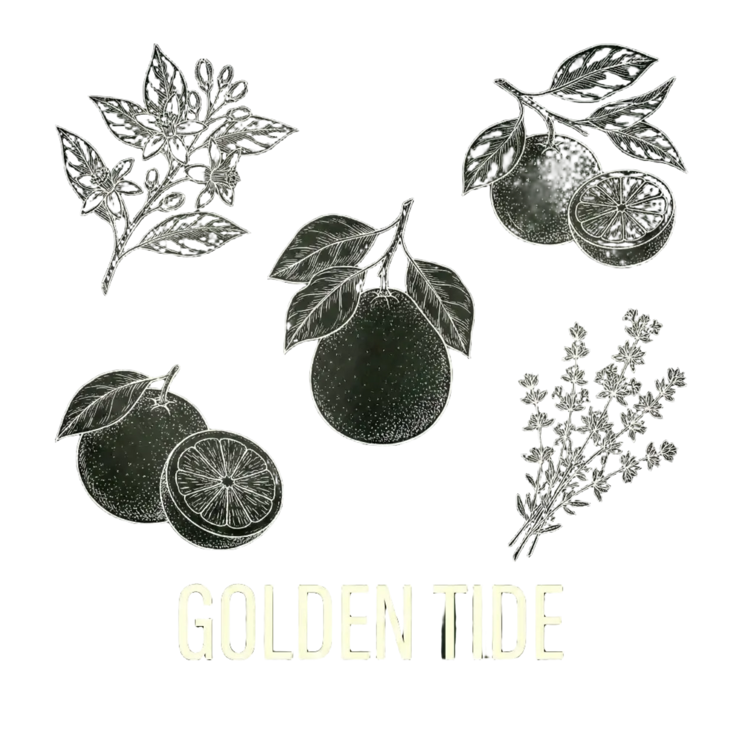 Golden Tide|金色潮汐
