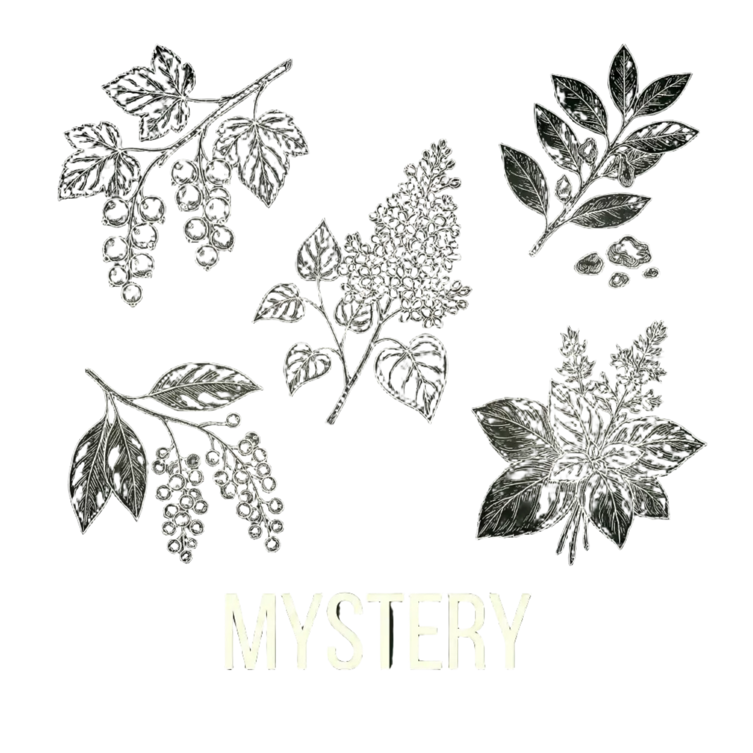 Mystery|秘法