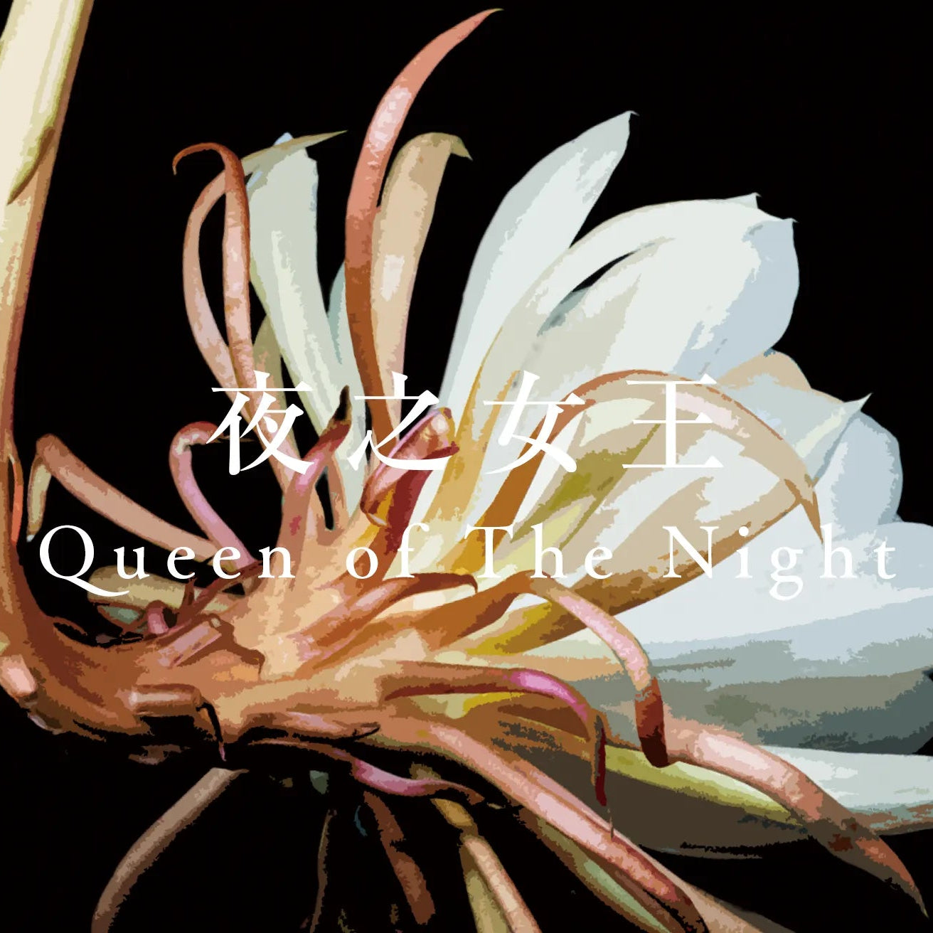 夜之女王