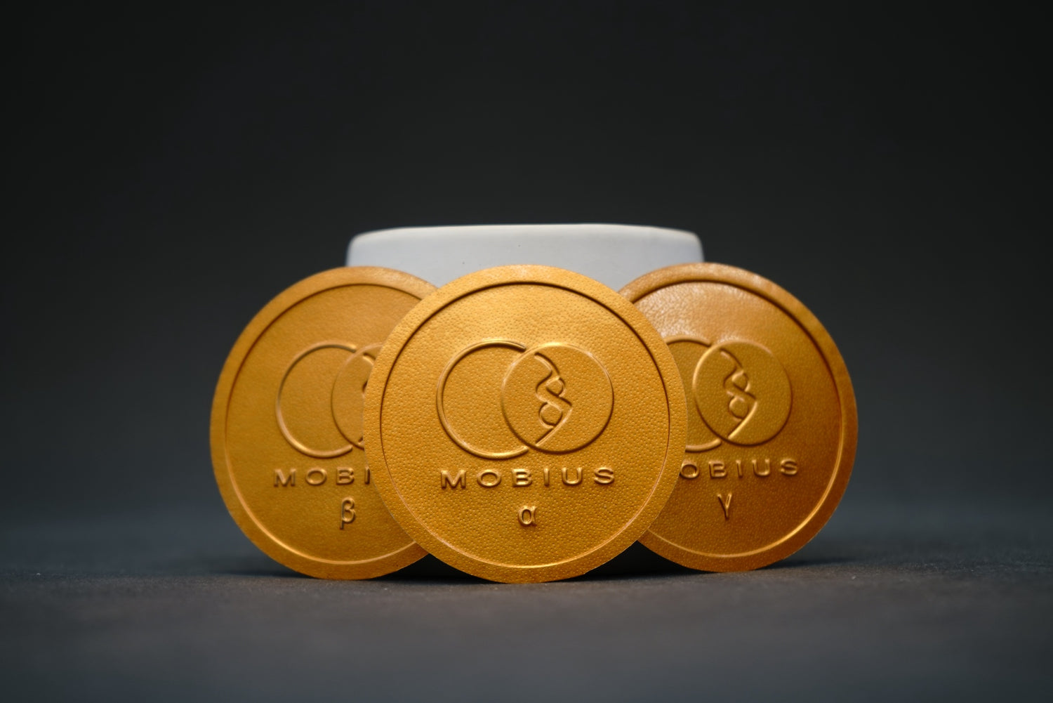 Image with text section