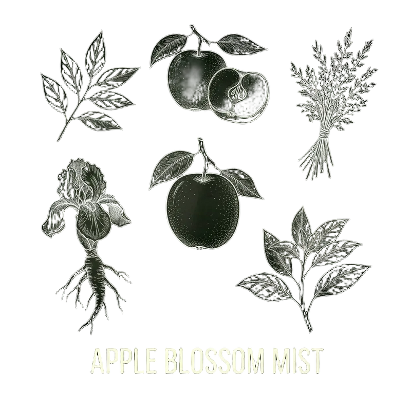 Apple Blossom mist｜蘋果花之霧