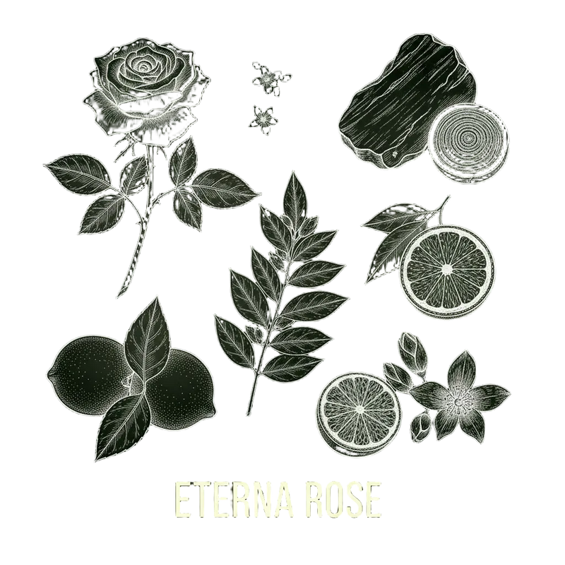 Eterna Rosa｜永恆玫瑰