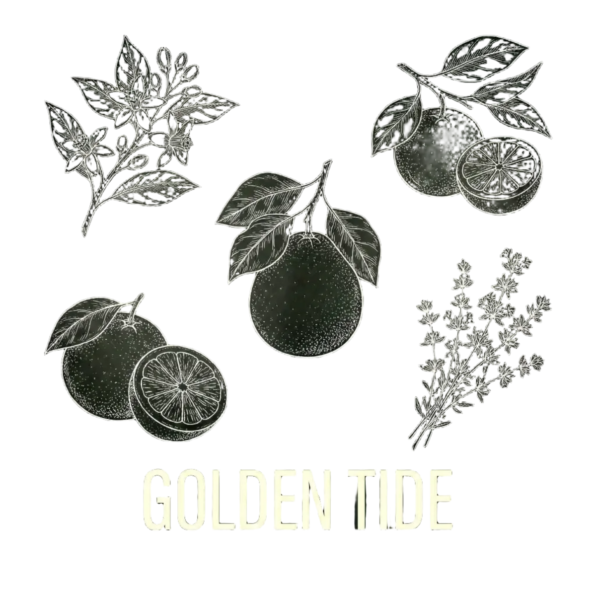 Golden Tide｜金色潮汐