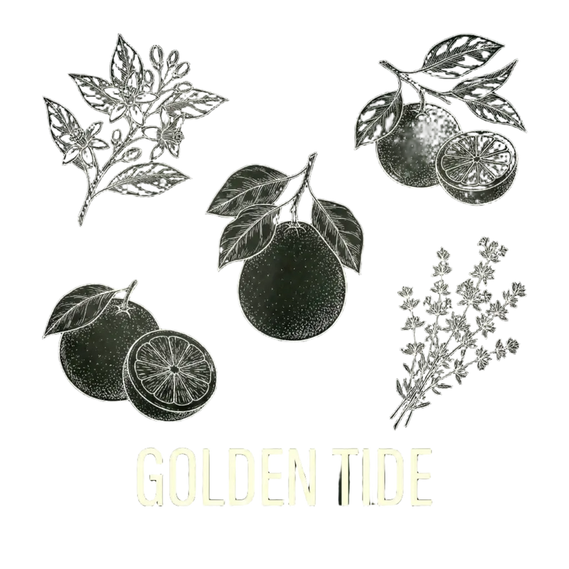 Golden Tide｜金色潮汐