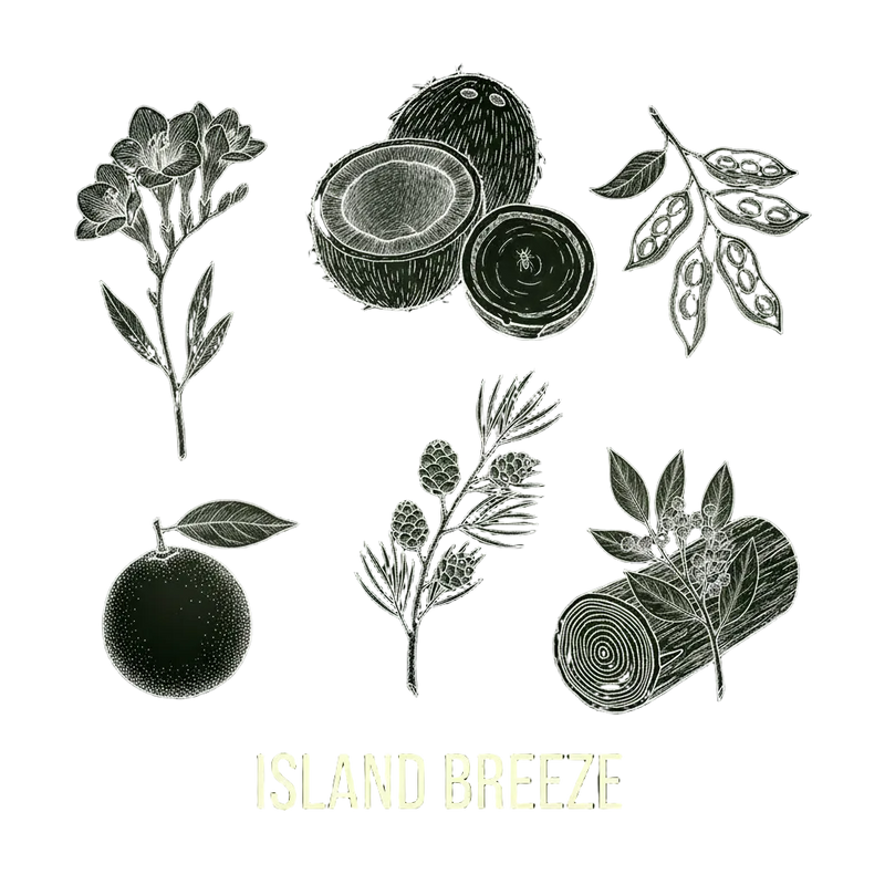 Island Breeze｜島嶼微風