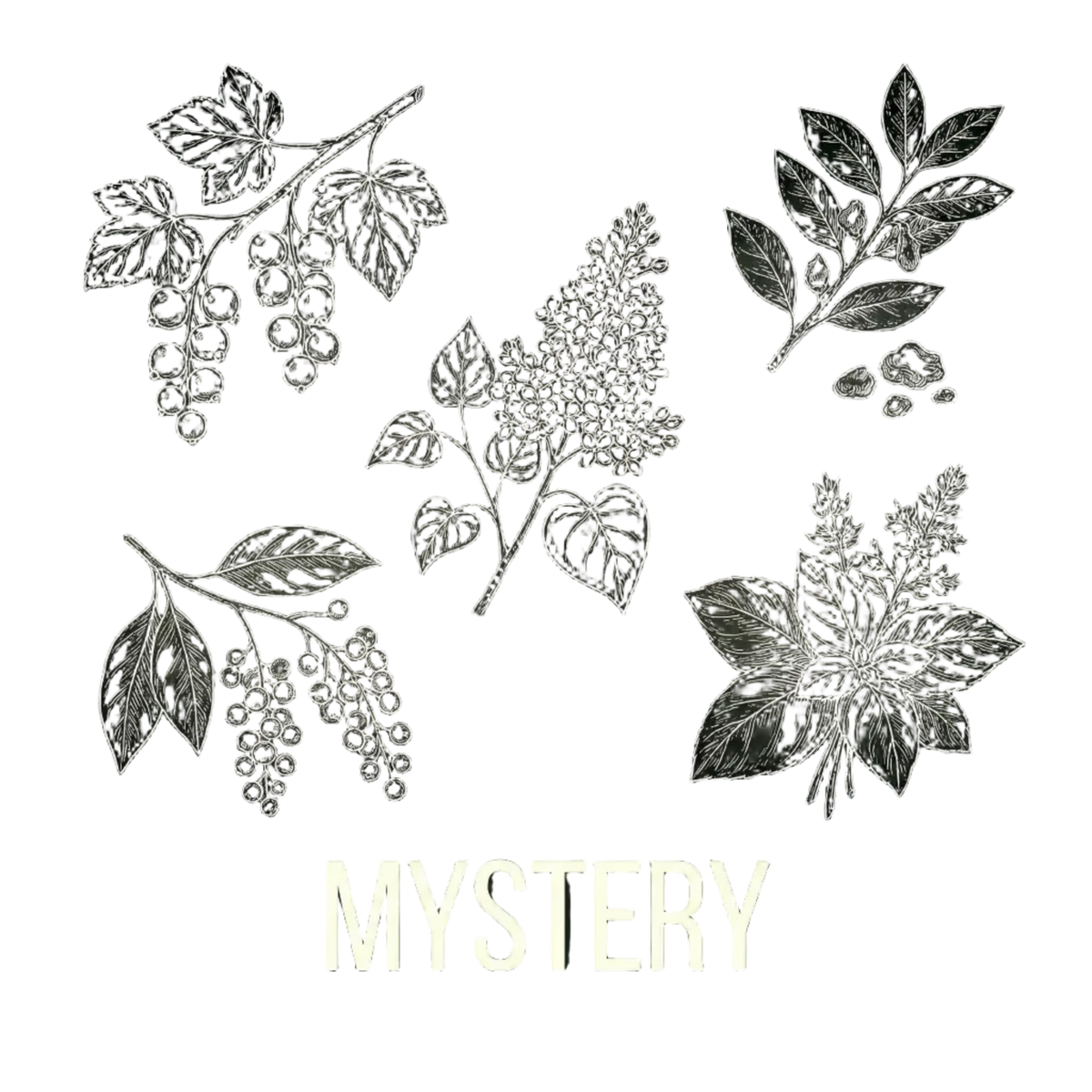 Mystery｜秘法