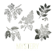 Mystery｜秘法
