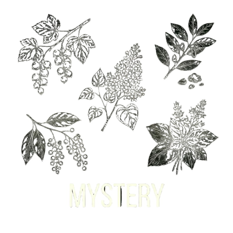 Mystery｜秘法