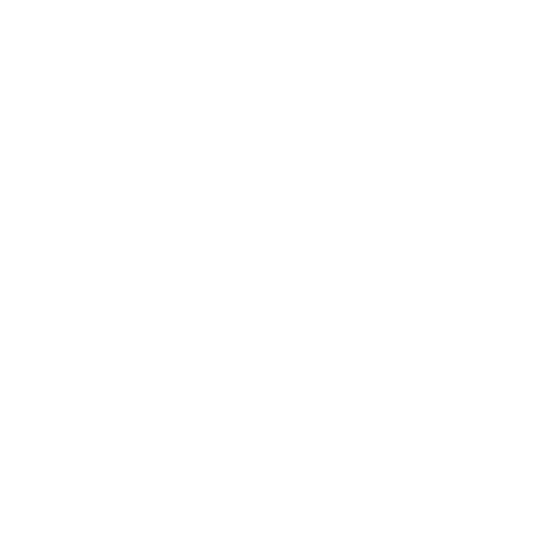 薰衣草