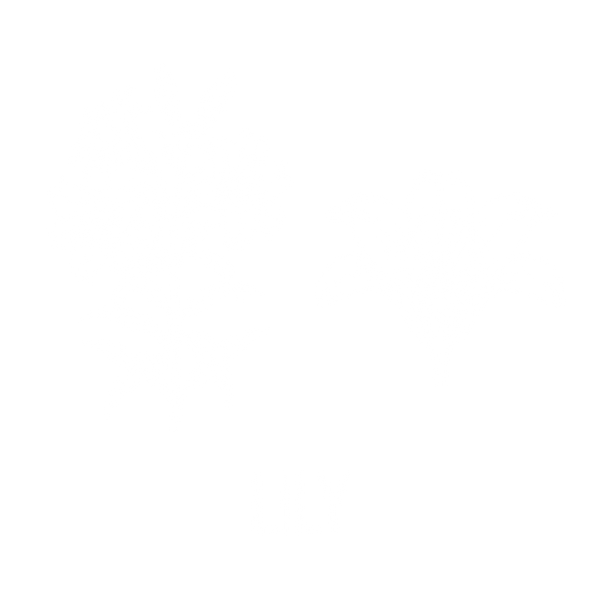 百合花