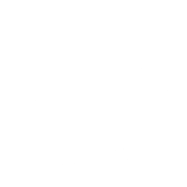 焙茶