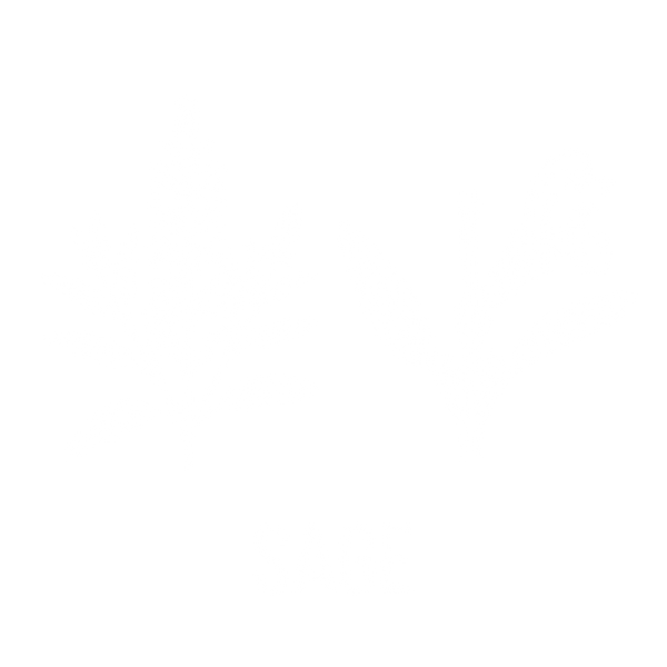 鼠尾草